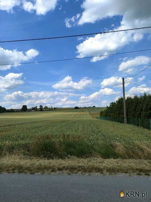 Działki  na sprzedaż, , Obrażejowice, ul. 