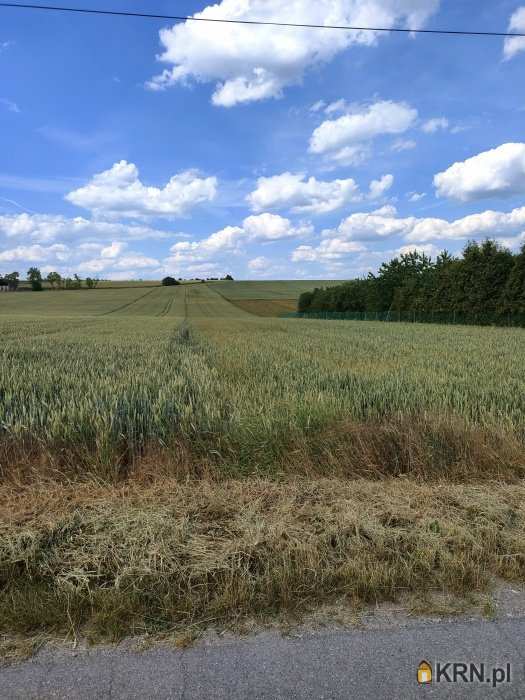 Obrażejowice, ul. , , Działki  na sprzedaż