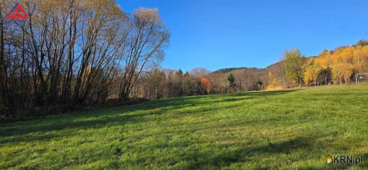 Działki  na sprzedaż, Przenosza, ul. , 