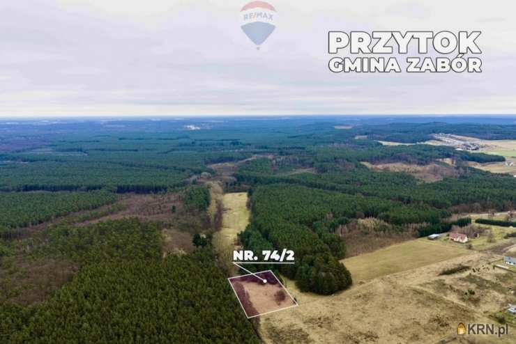 Działki  na sprzedaż, Przytok, ul. , 