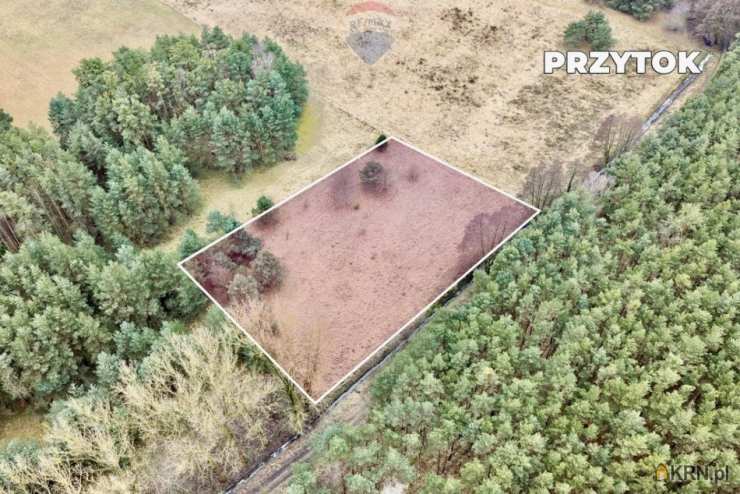 Działki  na sprzedaż, , Przytok, ul. 