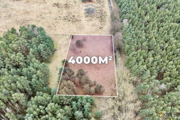 Przytok, ul. , Działki  na sprzedaż, 