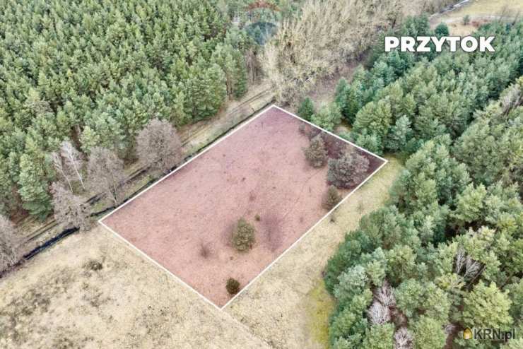 RE/MAX Polska, Działki  na sprzedaż, Przytok, ul. 