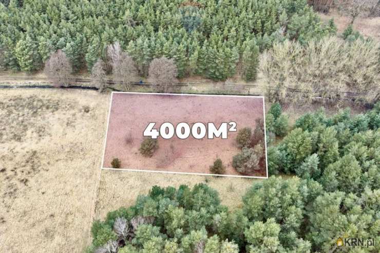 Działki  na sprzedaż, Przytok, ul. , 