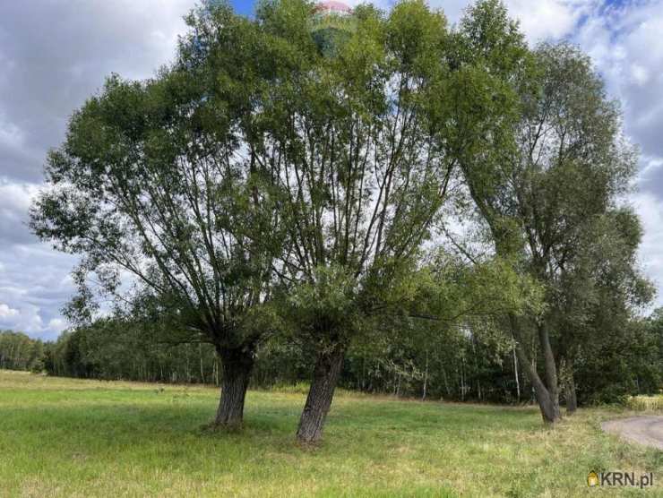 , Pustelnik, ul. , Działki  na sprzedaż