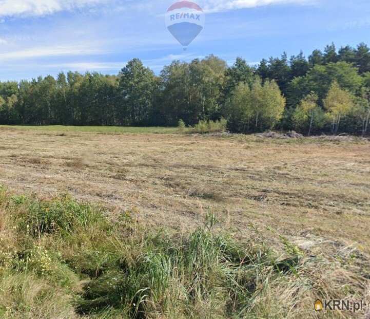 Działki  na sprzedaż, , Pustelnik, ul. 