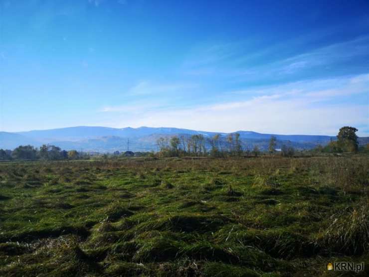 Działki  na sprzedaż, Wojcieszyce, ul. , 