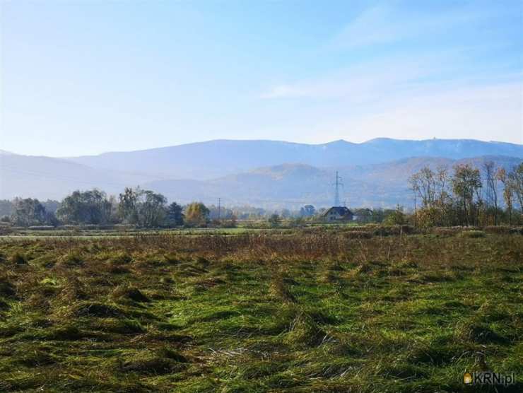 Działki  na sprzedaż, , Wojcieszyce, ul. 