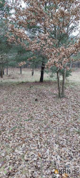 Warszawa, Wawer/Miedzeszyn, ul. Techniczna, Działki  na sprzedaż, 