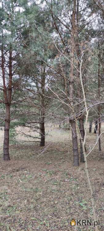 Warszawa, Wawer/Miedzeszyn, ul. Techniczna, , Działki  na sprzedaż