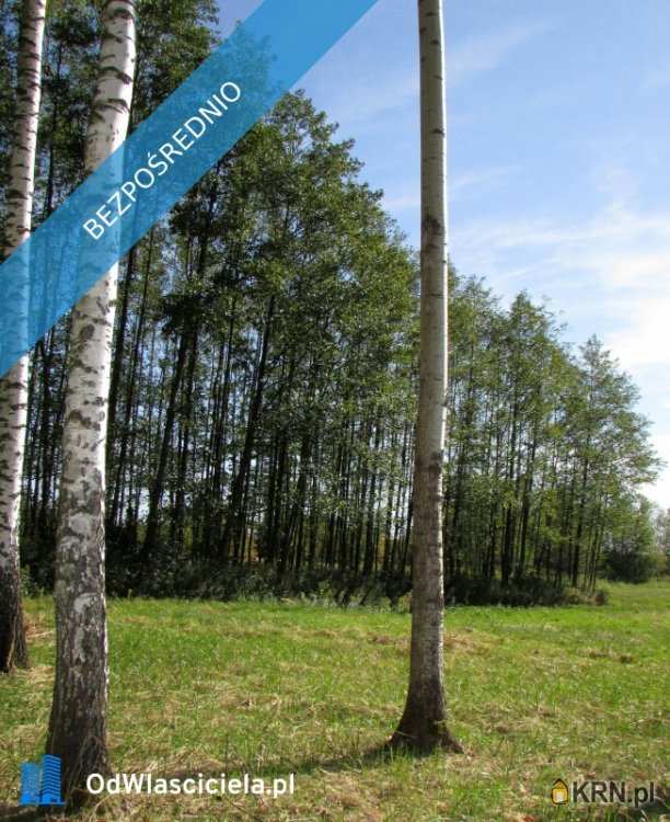 Działki  na sprzedaż, , Czarna Sędziszowska, ul. 