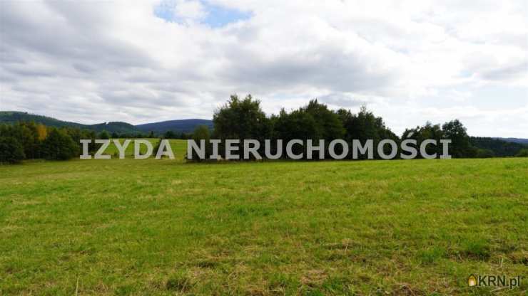 Działki  na sprzedaż, Michałkowa, ul. , 