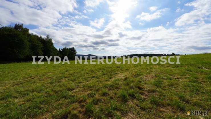 Działki  na sprzedaż, , Michałkowa, ul. 