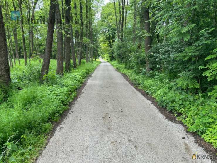 Działki  na sprzedaż, Regulice, ul. , 