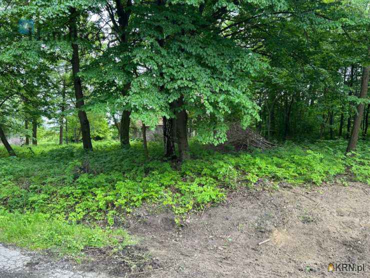 Działki  na sprzedaż, , Regulice, ul. 