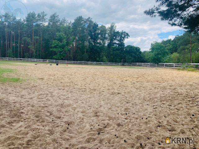 Działki  na sprzedaż, , Węgielnia, ul. 