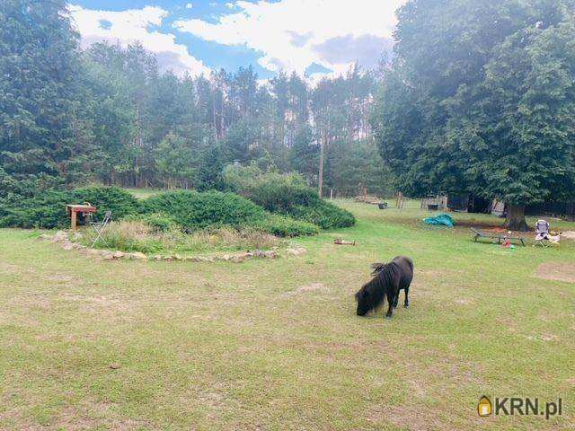 Węgielnia, ul. , Działki  na sprzedaż, 