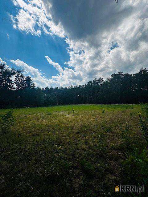 Pegaz Nieruchomości, Działki  na sprzedaż, Węgielnia, ul. 