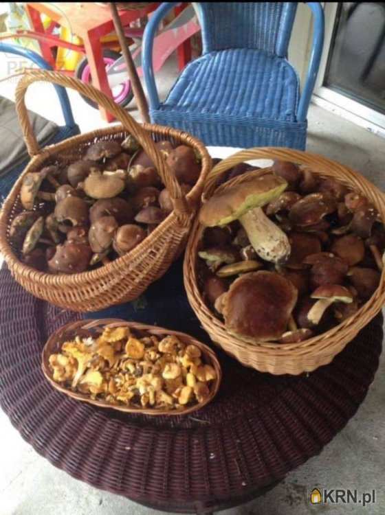 Działki  na sprzedaż, , Węgielnia, ul. 