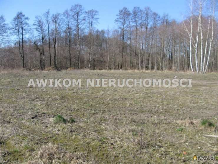 Działki  na sprzedaż, , Władków, ul. 