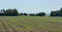 Działki na sprzedaż, Górna Wieś