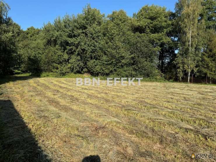 Działki  na sprzedaż, Buczkowice, ul. , 