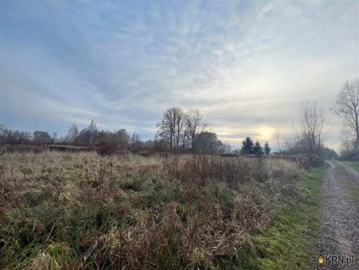 Wojcieszyce, ul. , , Działki  na sprzedaż