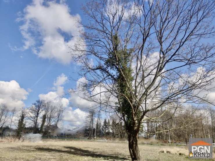 Działki  na sprzedaż, , Wolin, ul. Spokojna