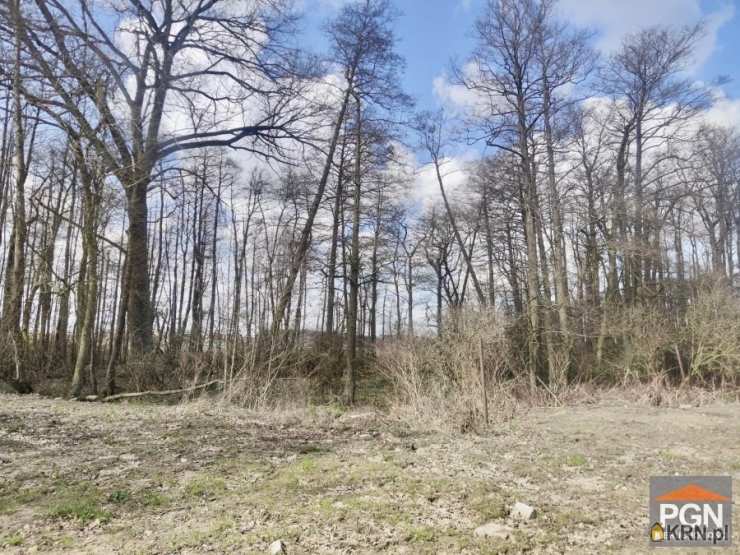 Działki  na sprzedaż, , Wolin, ul. Spokojna