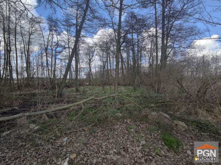 Wolin, ul. Spokojna, Działki  na sprzedaż, 