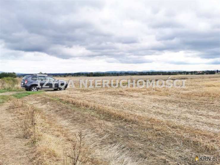 Działki  na sprzedaż, Lutomia Górna, ul. , 