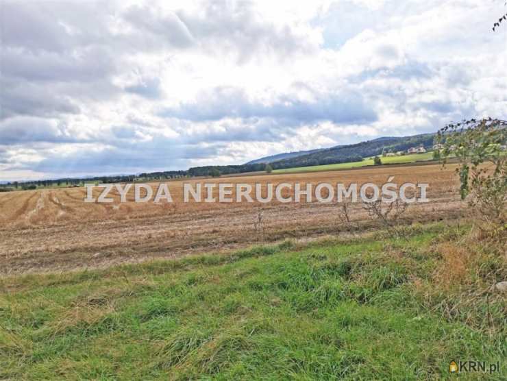 Działki  na sprzedaż, , Lutomia Górna, ul. 
