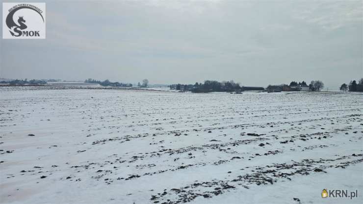 Działki  na sprzedaż, , Wronin, ul. 