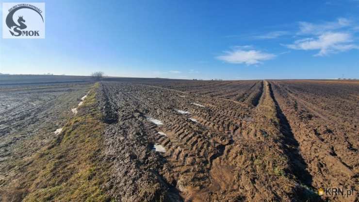 Działki  na sprzedaż, , Wronin, ul. 