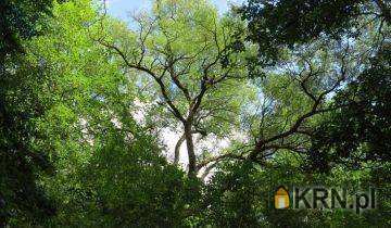 Działki  na sprzedaż, , Bąblin, ul. 