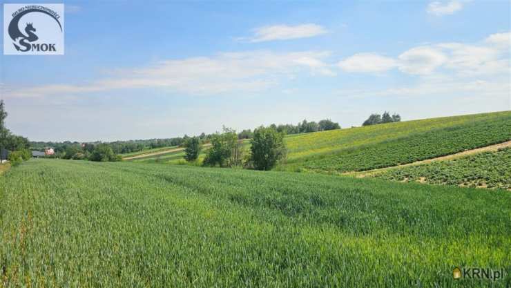 Działki  na sprzedaż, Cianowice Duże, ul. , 