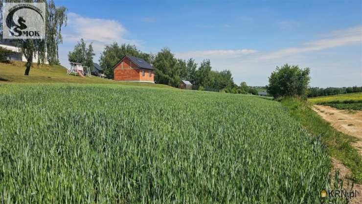 Działki  na sprzedaż, , Cianowice Duże, ul. 
