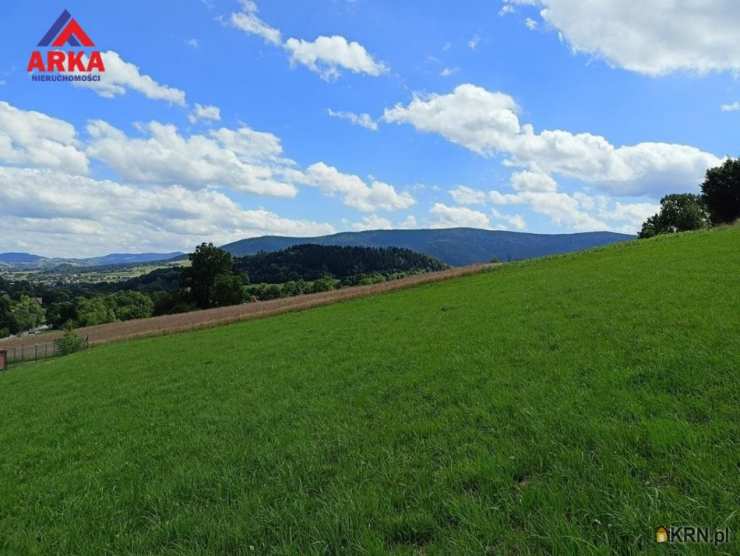 Wilkowisko, ul. , , Działki  na sprzedaż