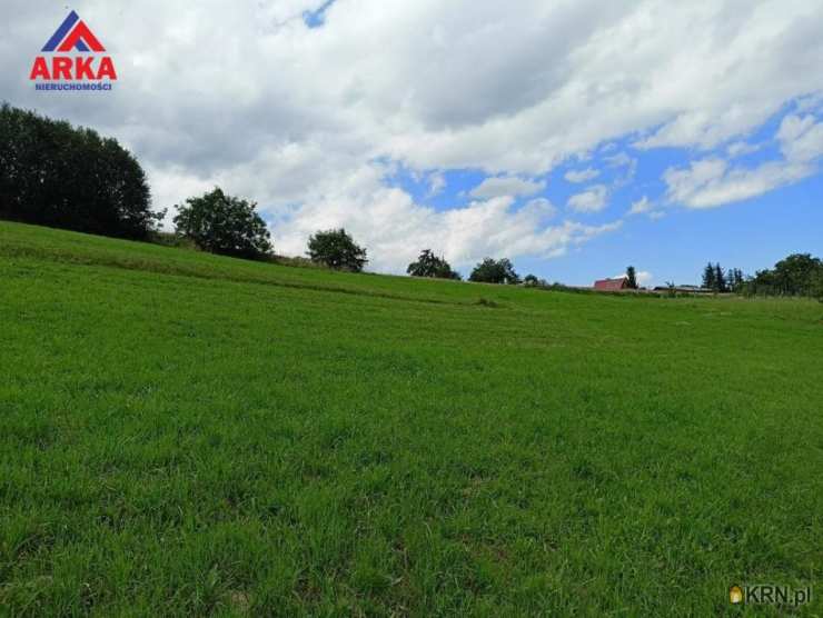 , Wilkowisko, ul. , Działki  na sprzedaż