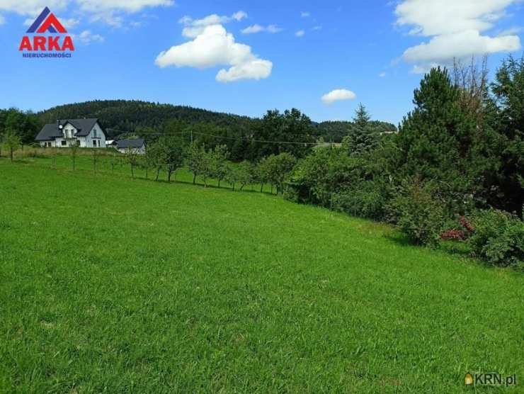 Działki  na sprzedaż, , Wilkowisko, ul. 