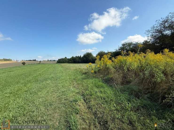 Działki  na sprzedaż, , Korzkiew, ul. 