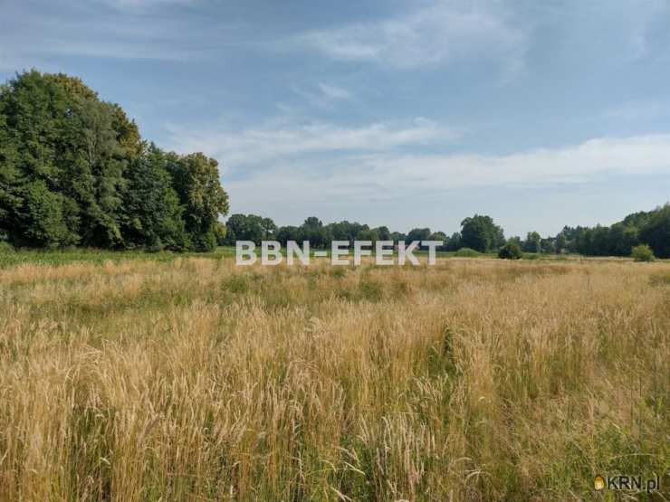 Działki  na sprzedaż, Hecznarowice, ul. , 