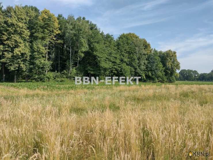 , Działki  na sprzedaż, Hecznarowice, ul. 