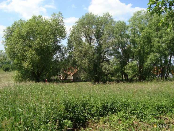 , Dziećmorowice, ul. , Działki  na sprzedaż