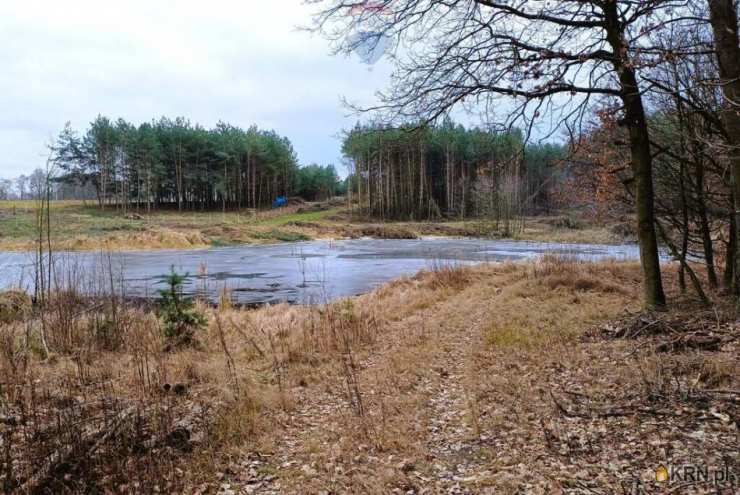 Pinino, ul. , , Działki  na sprzedaż