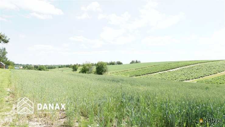 Działki  na sprzedaż, Cianowice Duże, ul. , 