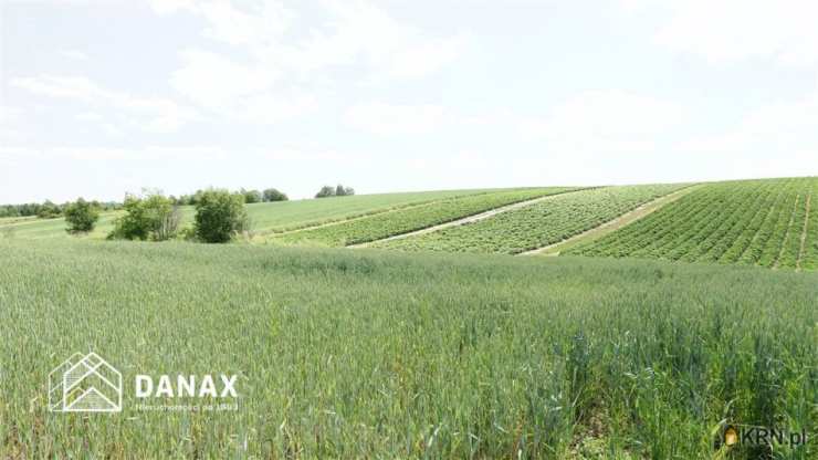 Działki  na sprzedaż, , Cianowice Duże, ul. 