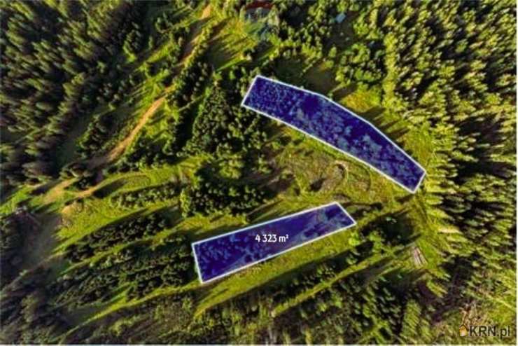 Działki  na sprzedaż, Dzianisz, ul. , 