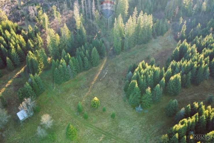 Działki  na sprzedaż, , Dzianisz, ul. 