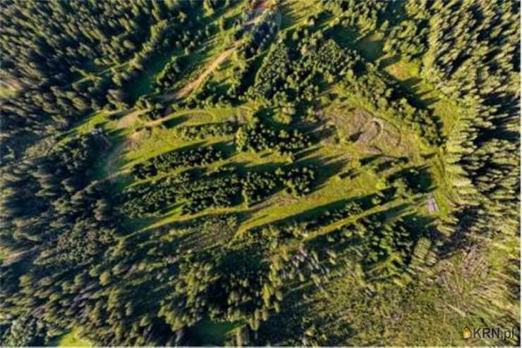 Dzianisz, ul. , Działki  na sprzedaż, 